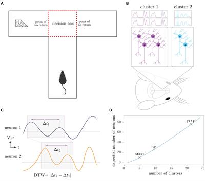 Quantifying network behavior in the rat prefrontal cortex